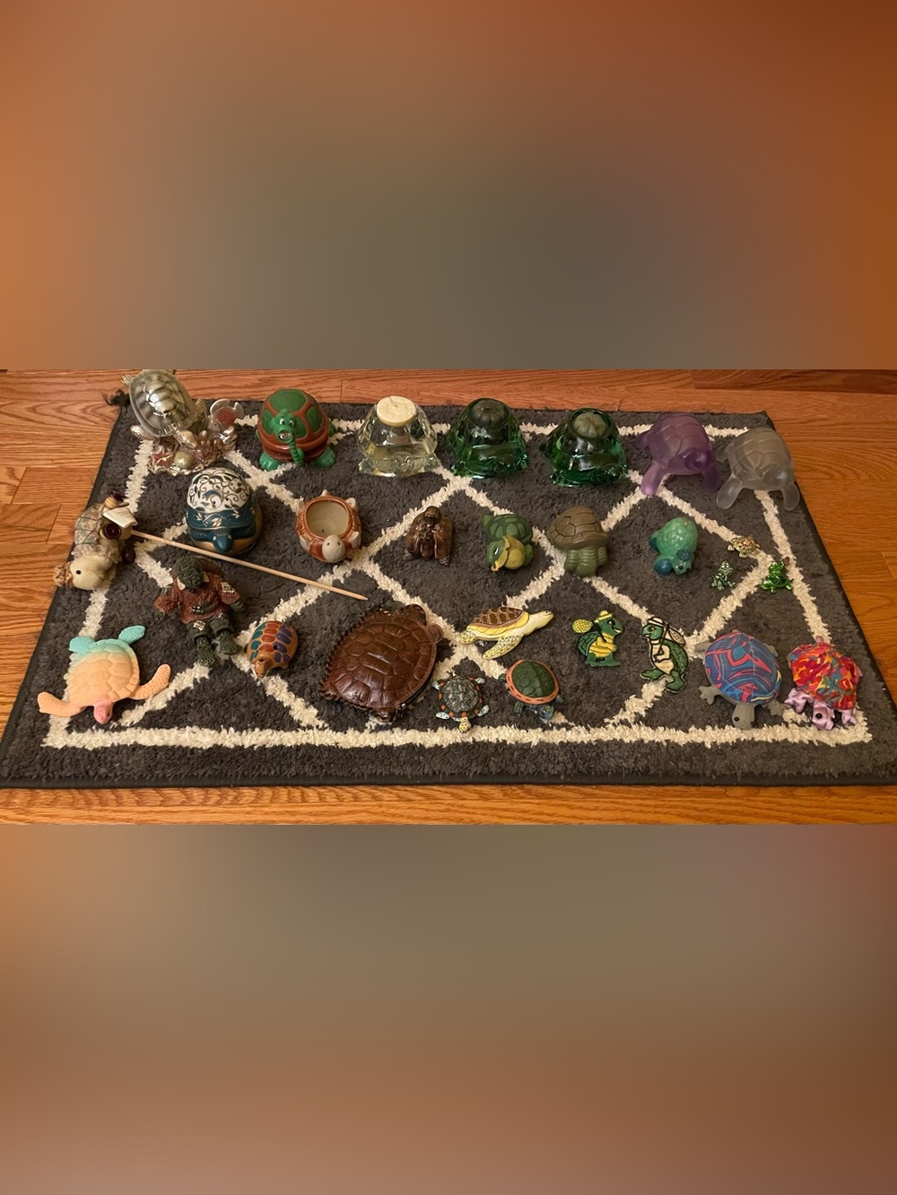 TURTLE COLLECTION